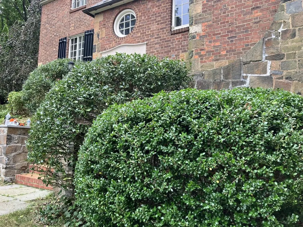 Trusted garden landscaping with custom design in Monroe, CT by MAG Landscaping