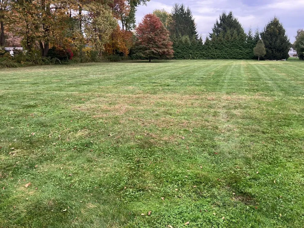 Local landscape installation experts serving Monroe, CT - MAG Landscaping