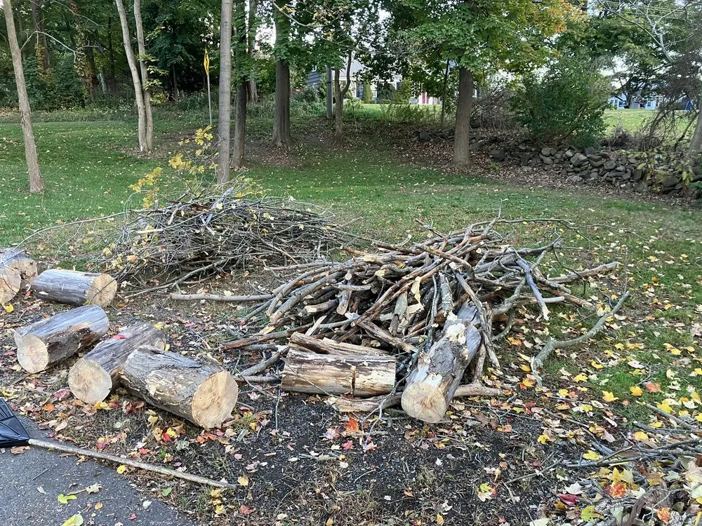 Trusted lawn care service in Monroe, CT - MAG Landscaping