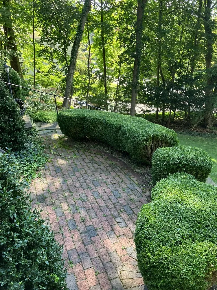 Expert residential landscaping for beautiful yards in Monroe, CT by MAG Landscaping