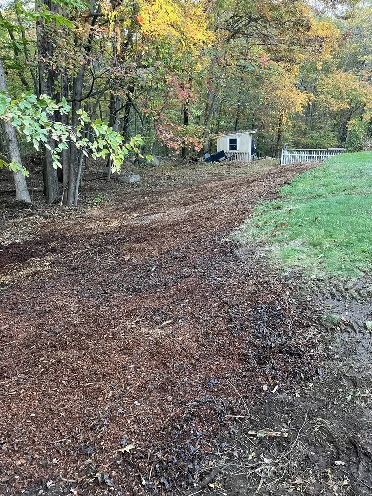 Professional yard cleanup service in Monroe, CT - MAG Landscaping