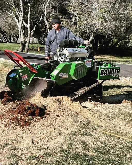Custom yard maintenance for year-round maintenance in Placerville, CA by Mag Landscaping