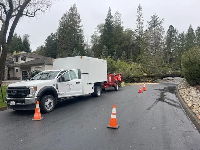 Custom landscape installation in Placerville, CA by Mag Landscaping