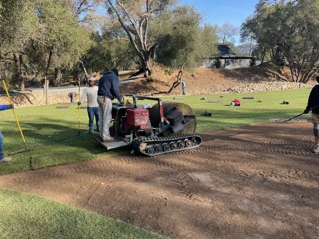 Expert lawn mowing service in Placerville, CA by Mag Landscaping