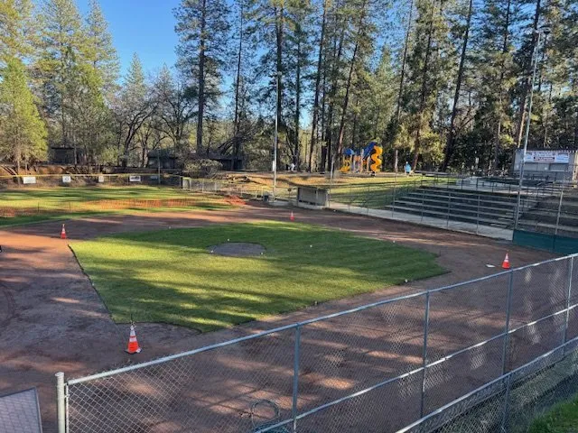 Trusted yard maintenance experts serving Placerville, CA - Mag Landscaping