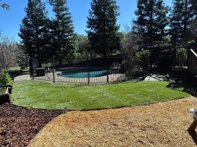 Professional landscaping services in Placerville, CA - Mag Landscaping