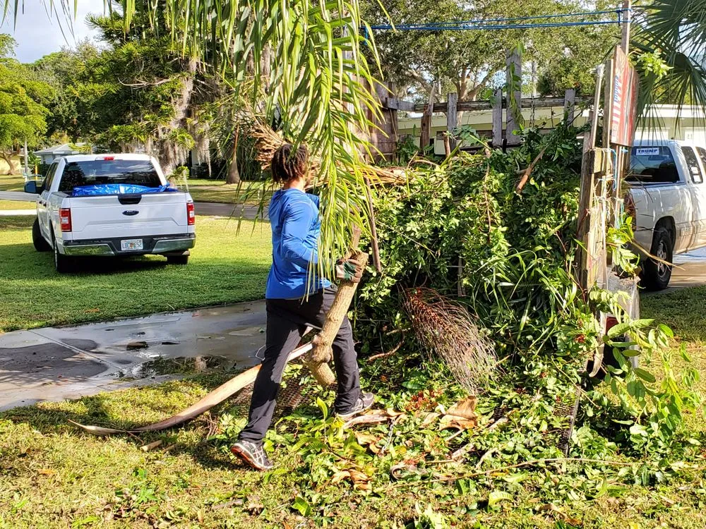 Professional yard maintenance experts serving Sarasota, FL - Maga Junk Hauling