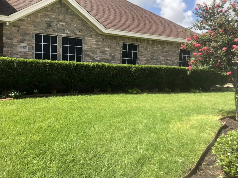 Reliable yard cleanup service for beautiful yards in Corpus Christi, TX by Magaña Lawn Services