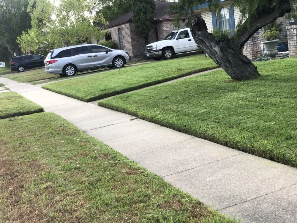 Expert yard maintenance in Corpus Christi, TX - Magaña Lawn Services