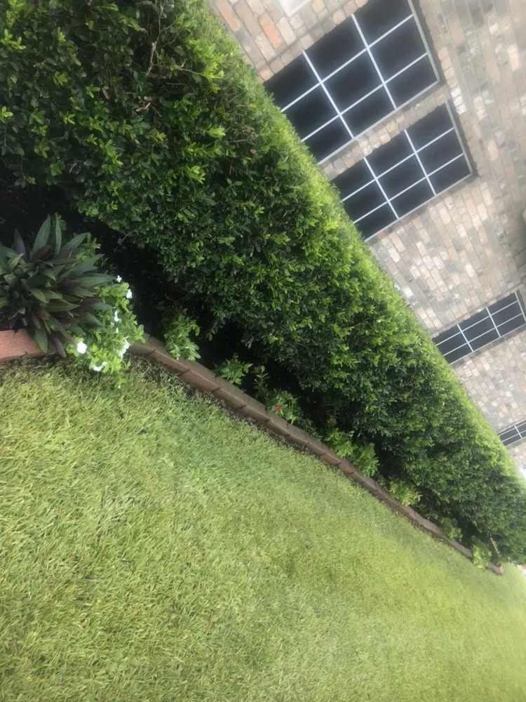 Professional lawn mowing service near you in Corpus Christi, TX by Magaña Lawn Services