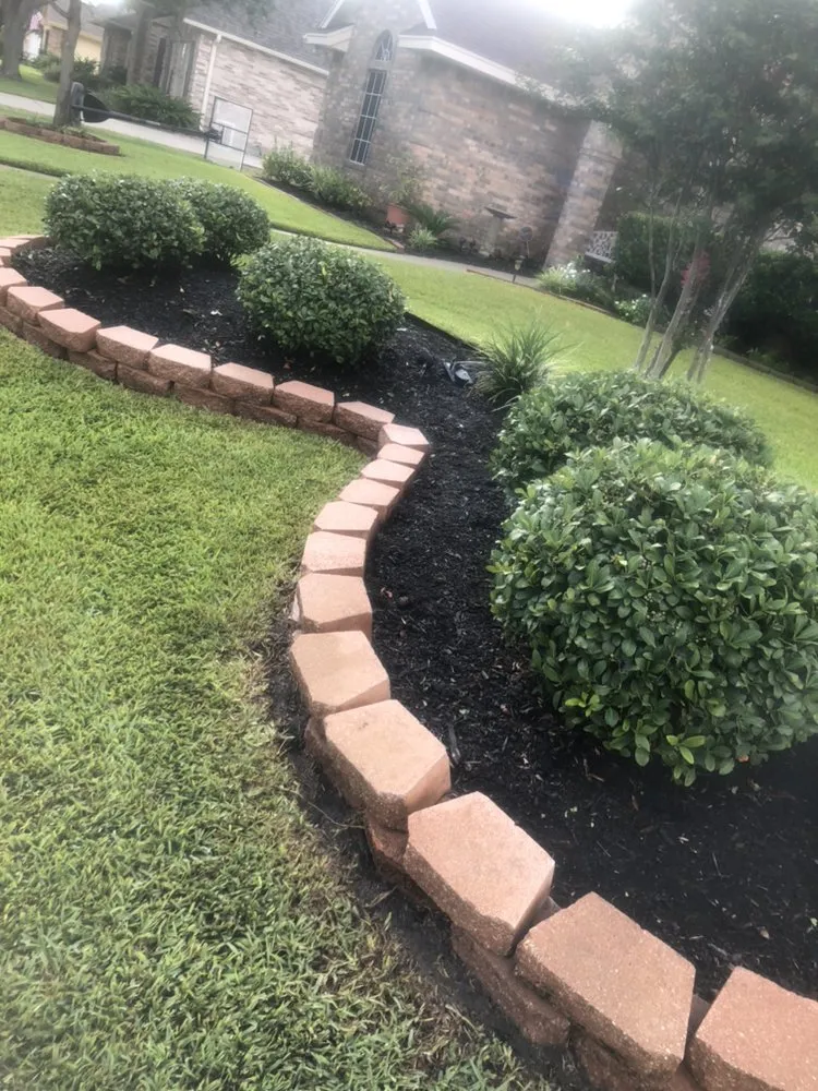 Custom yard cleanup service in Corpus Christi, TX - Magaña Lawn Services