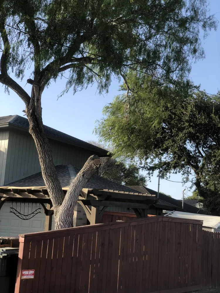 Expert outdoor landscaping for homes across Corpus Christi, TX - Magaña Lawn Services