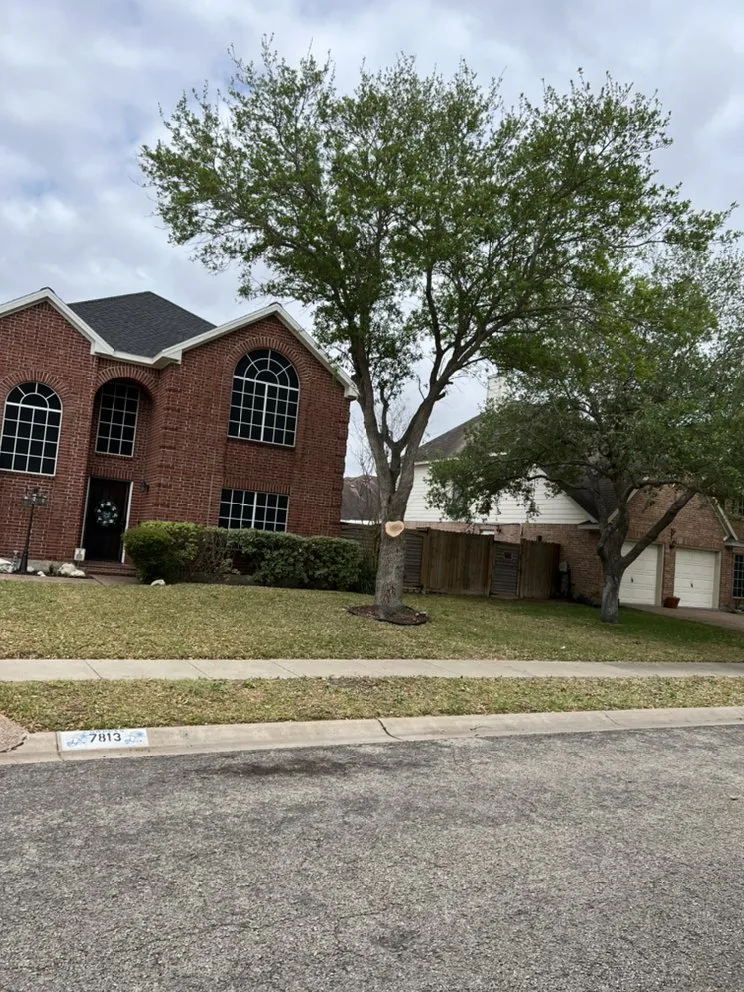 Reliable lawn mowing service experts serving Corpus Christi, TX - Magaña Lawn Services