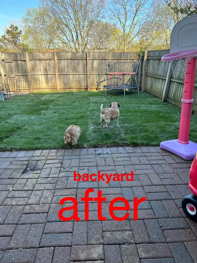 Professional yard maintenance for year-round maintenance across Dublin, OH - Magaña’s Landscaping