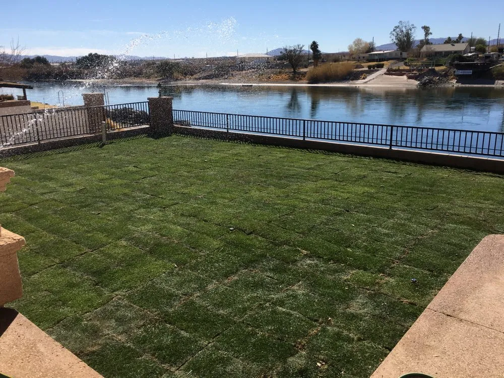 Reliable landscape installation with custom design in Mohave Valley, AZ by Magally Landscape