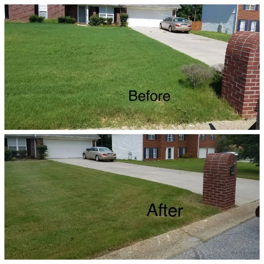 Trusted landscape installation for year-round maintenance across Ellenwood, GA - Magana Landscaping