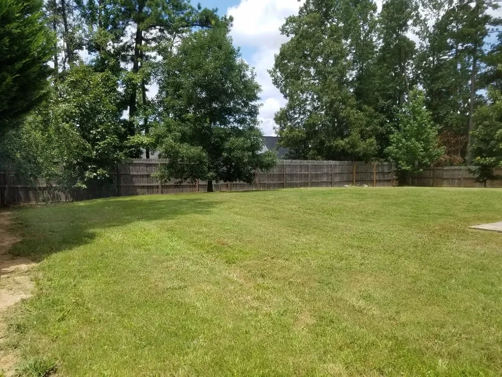 Professional yard maintenance in Ellenwood, GA by Magana Landscaping