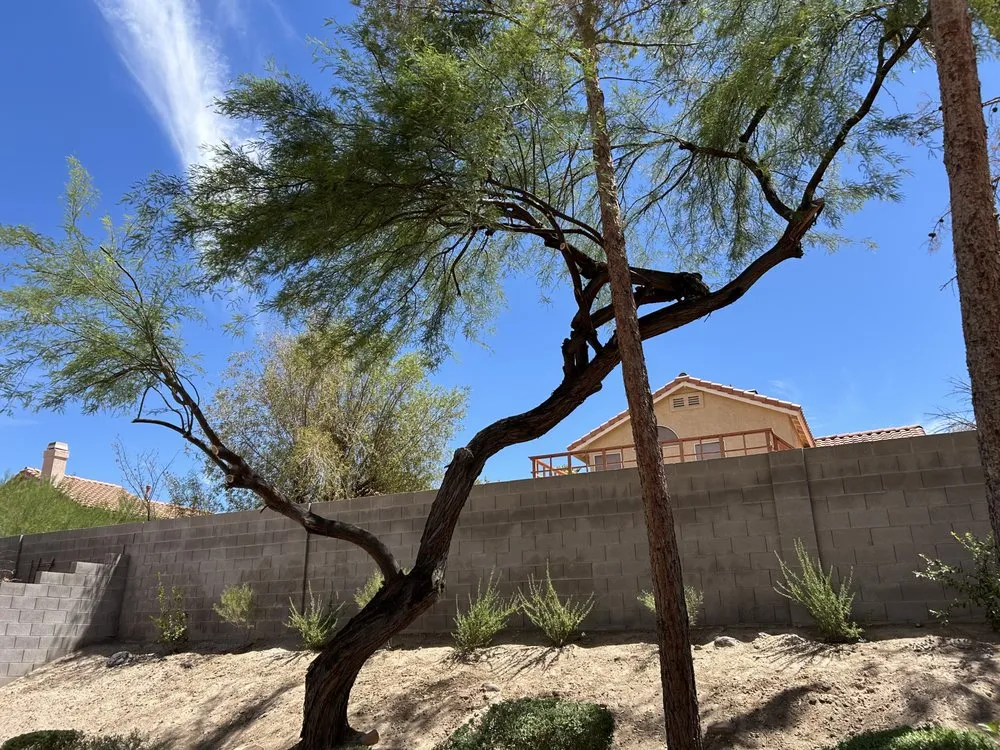Affordable residential landscaping in Henderson, NV - Magana Lawn Services