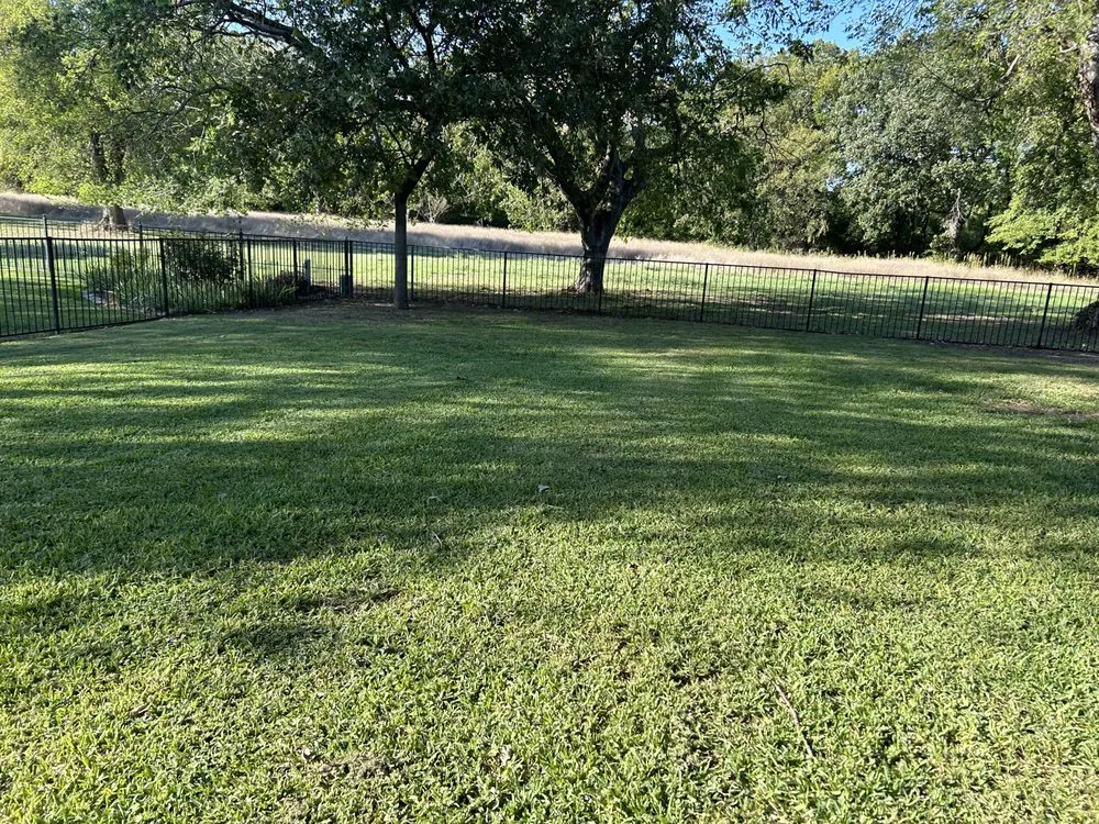 Affordable residential landscaping in White Settlement, TX - Magana Service