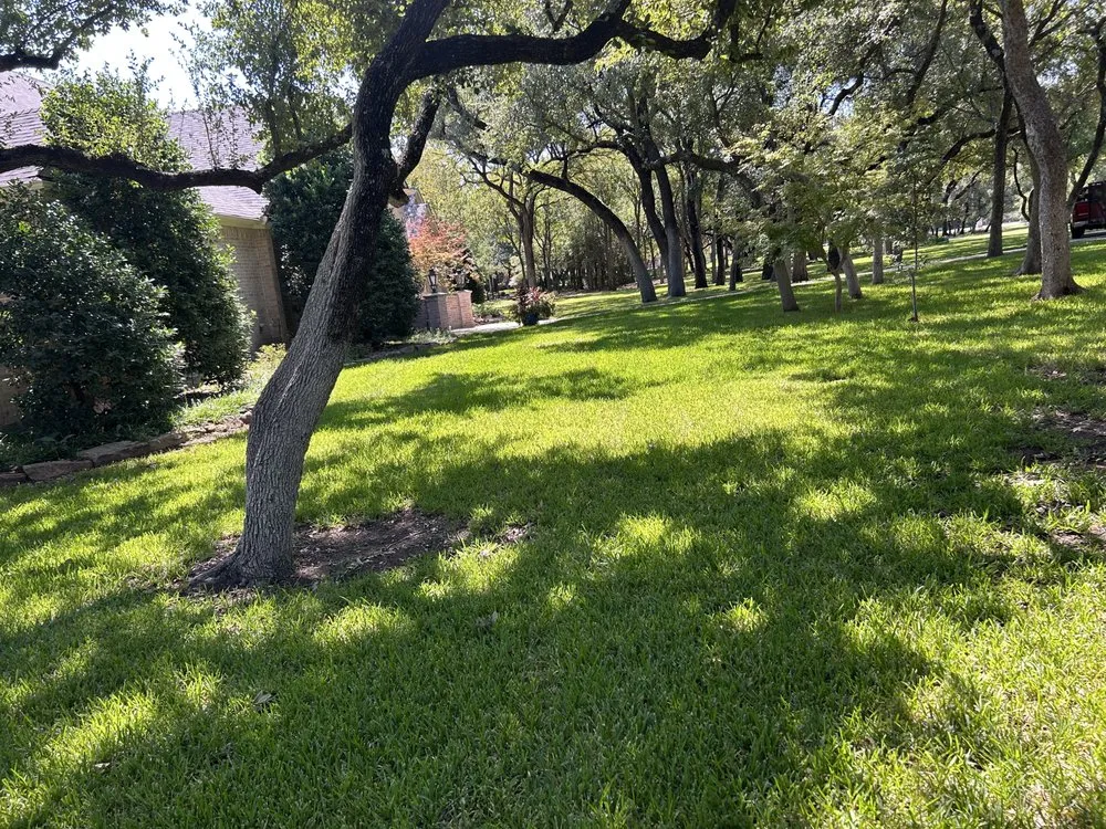 Expert garden landscaping in White Settlement, TX by Magana Service