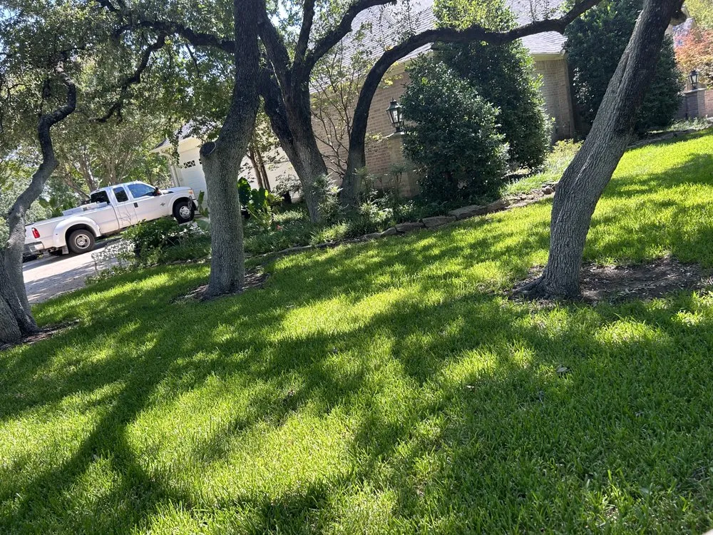 Top-rated yard maintenance near you across White Settlement, TX - Magana Service