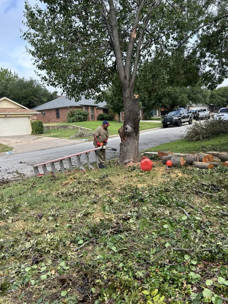 Expert yard maintenance with custom design across White Settlement, TX - Magana Service