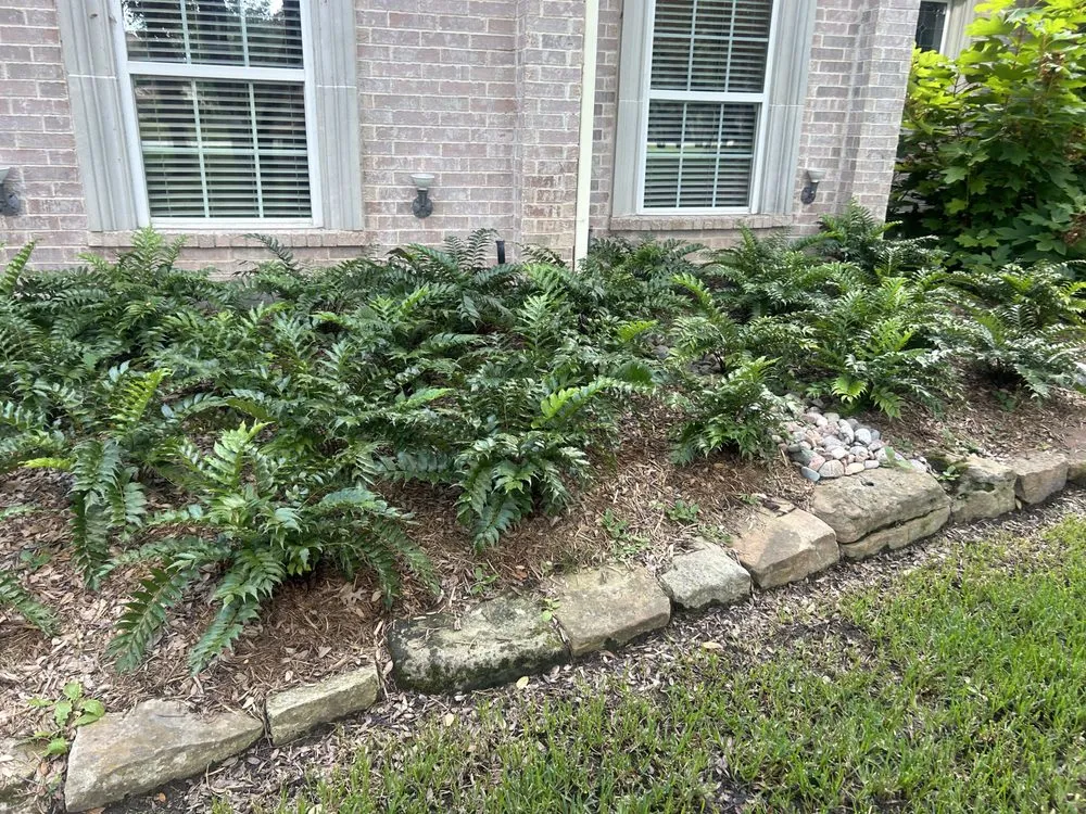 Expert lawn mowing service in White Settlement, TX - Magana Service