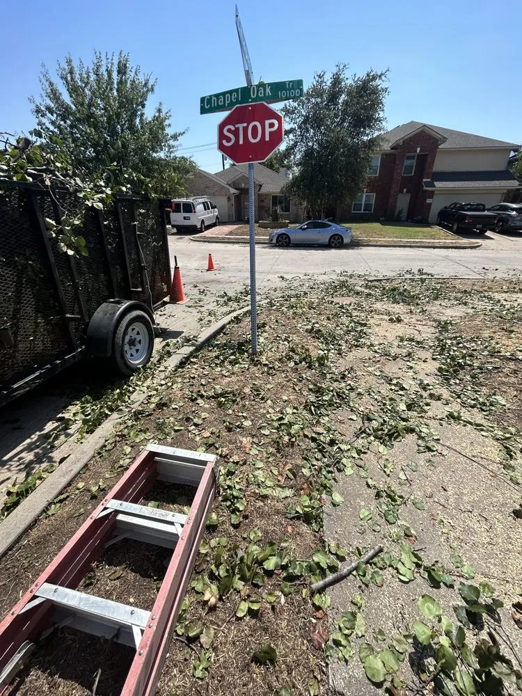 Reliable lawn care service experts serving White Settlement, TX - Magana Service