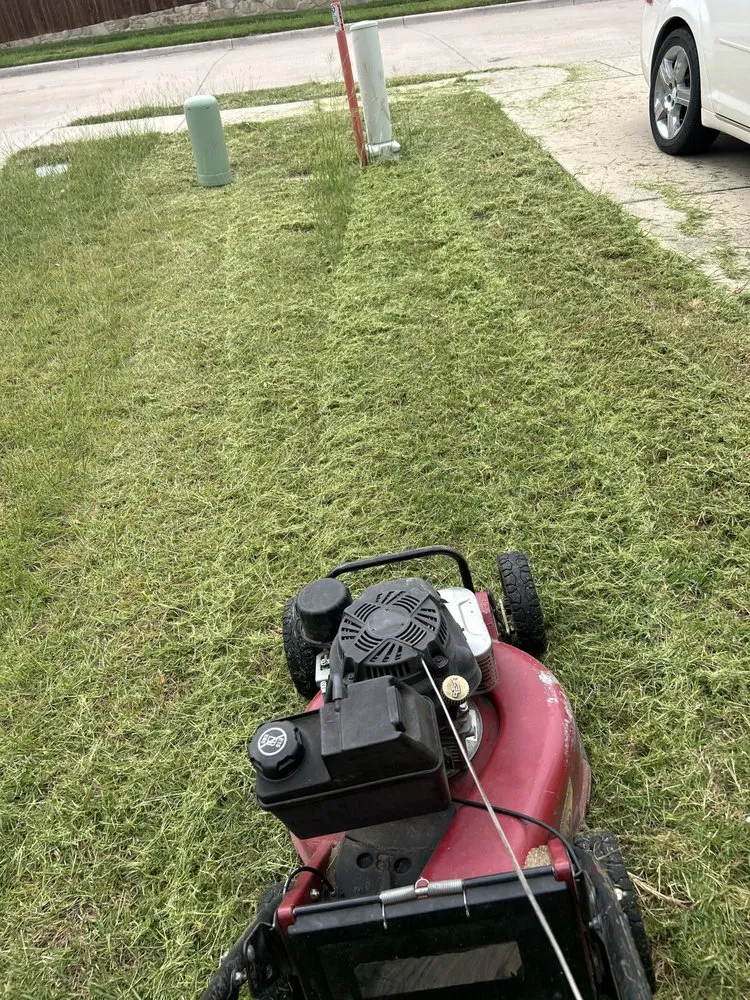 Reliable yard maintenance in White Settlement, TX - Magana Service
