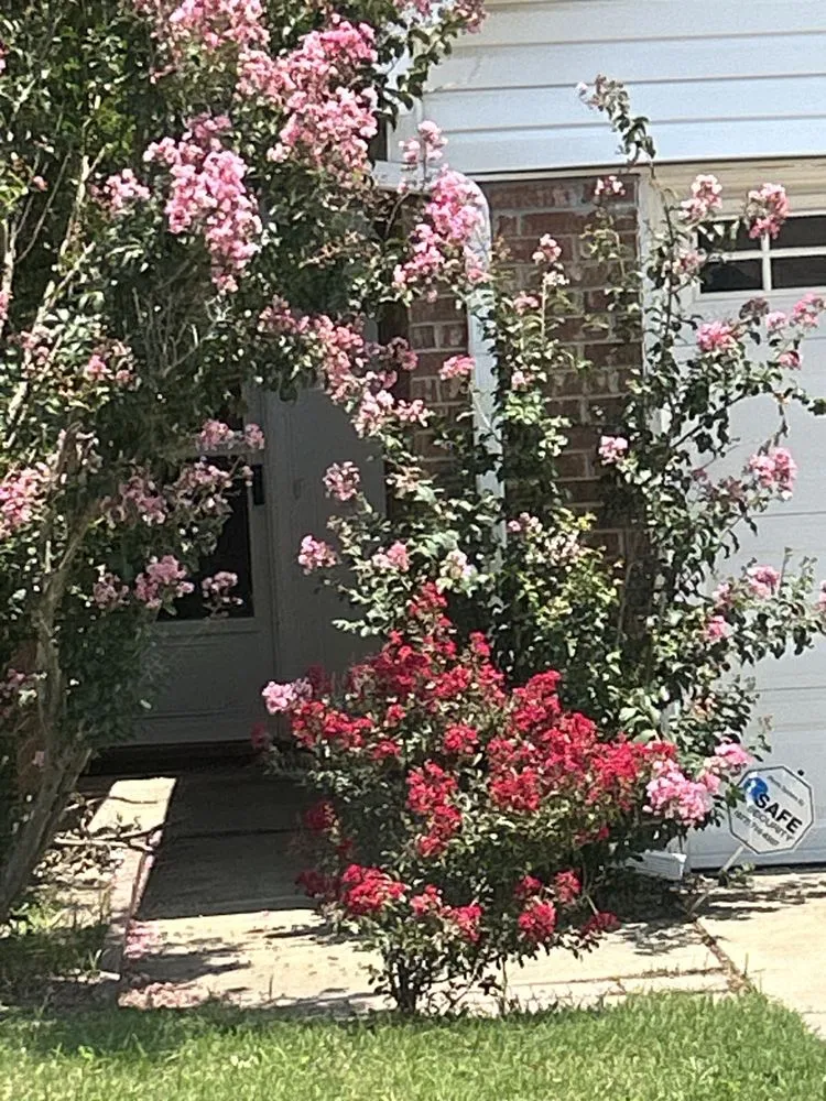 Custom landscaping services in White Settlement, TX - Magana Service