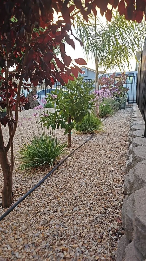 Reliable landscape design in Vallejo, CA - Magana Sunset Landscaping