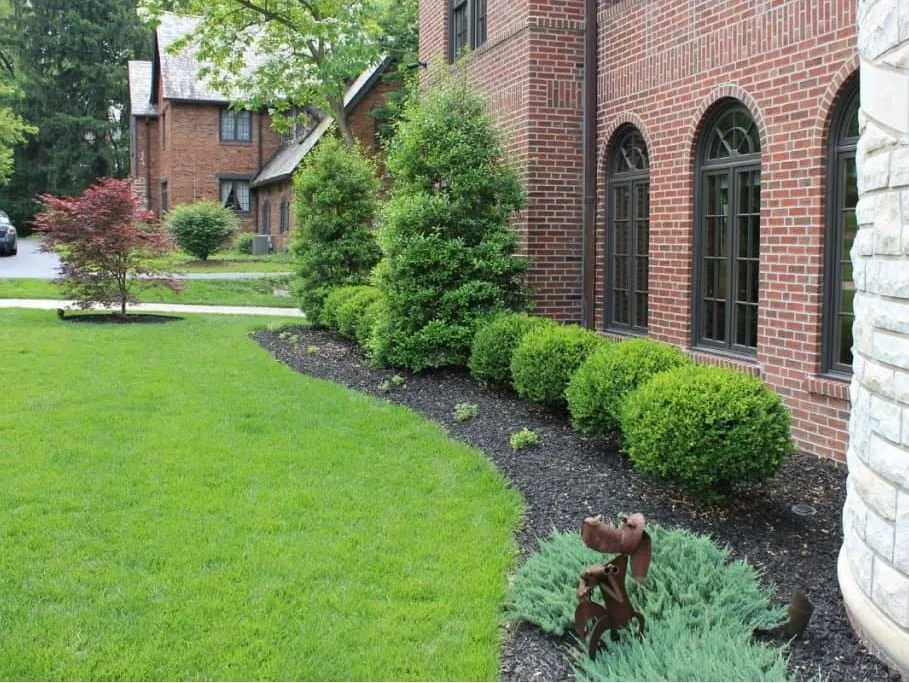 Top-rated outdoor landscaping for beautiful yards across Mesa, AZ - Maganas Landscaping