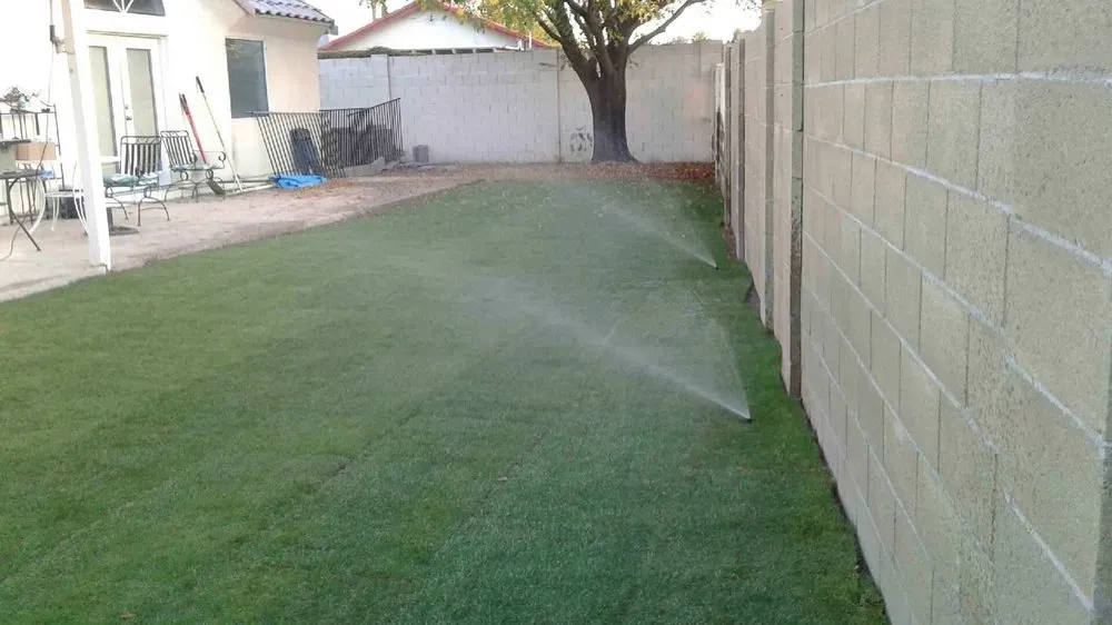 Local yard maintenance experts serving Mesa, AZ - Maganas Landscaping