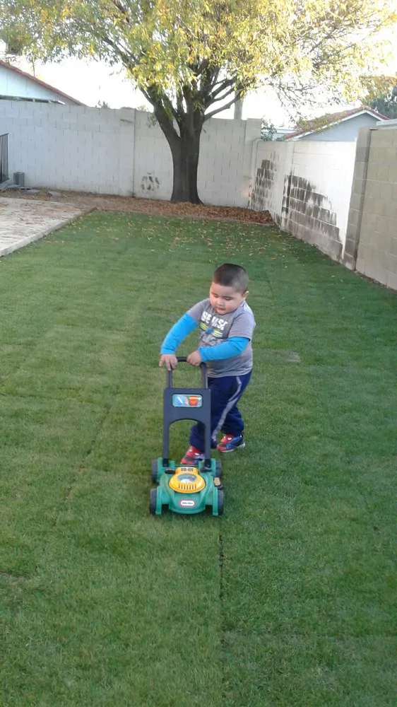 Custom yard cleanup service near you across Mesa, AZ - Maganas Landscaping