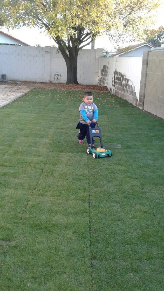 Professional garden landscaping for beautiful yards across Mesa, AZ - Maganas Landscaping