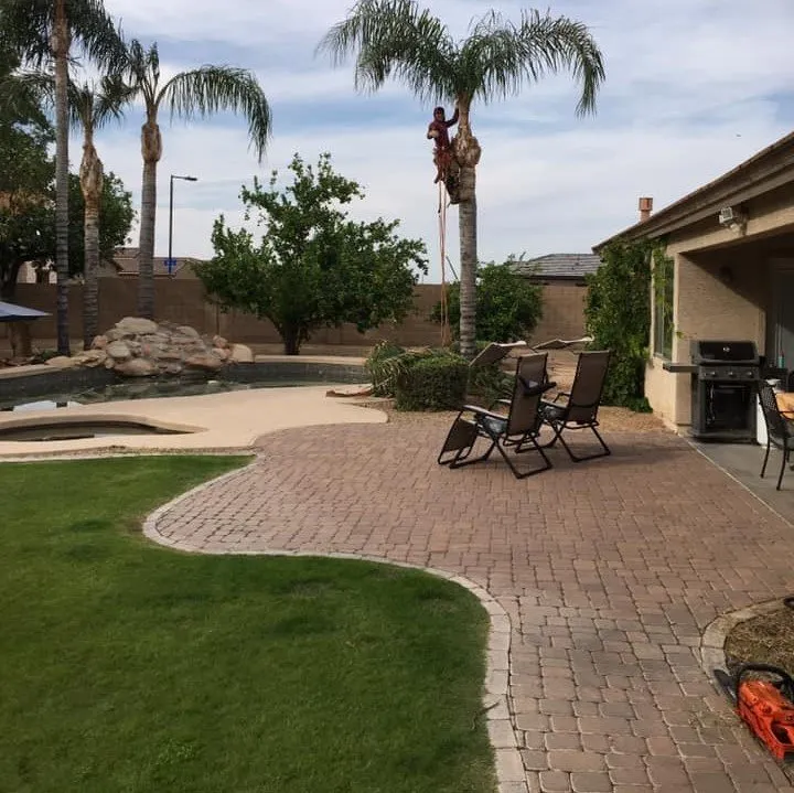 Top-rated landscape installation in Mesa, AZ by Maganas Landscaping