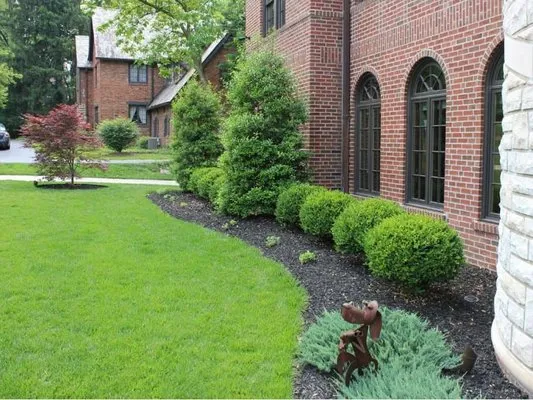 Maganas Landscaping Logo