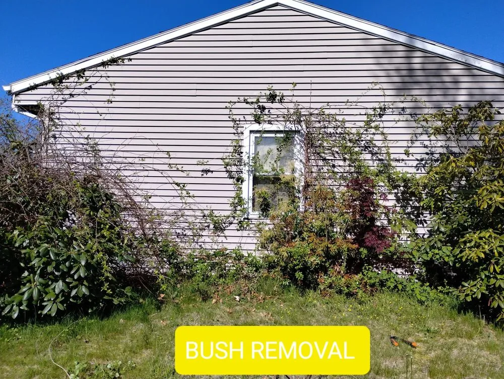 Expert landscape design in New Bedford, MA by Magatao Landscaping