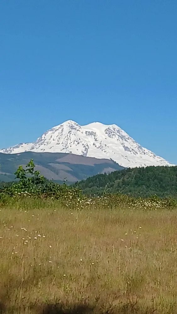 Affordable landscape installation with custom design in Eatonville, WA by Mage Hand Labor
