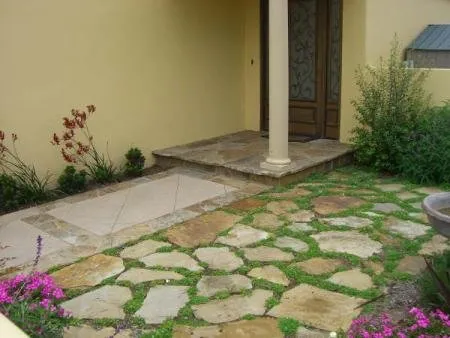 Local yard maintenance experts serving Denver, CO - Mage Landscaping