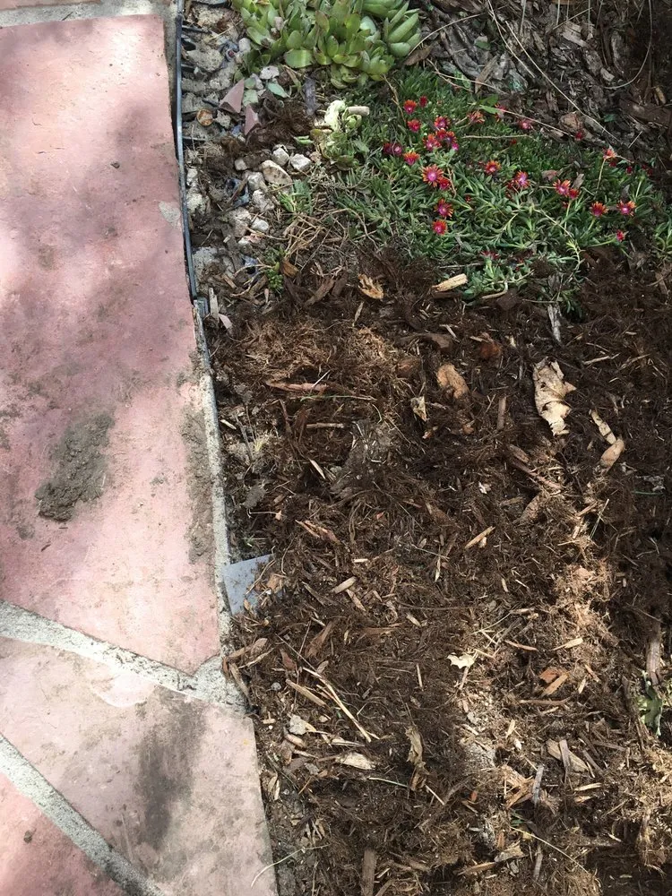 Professional outdoor landscaping near you across Denver, CO - Mage Landscaping