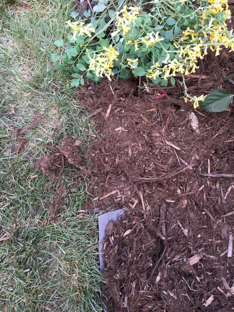 Affordable lawn mowing service in Denver, CO - Mage Landscaping