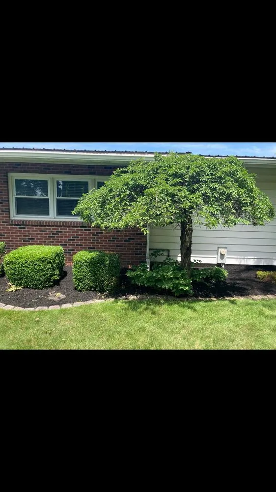 Custom yard cleanup service for year-round maintenance in Wampsville, NY by Magee Lawn & Gardens