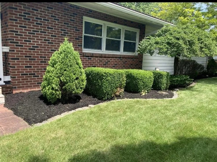 Expert yard maintenance experts serving Wampsville, NY - Magee Lawn & Gardens