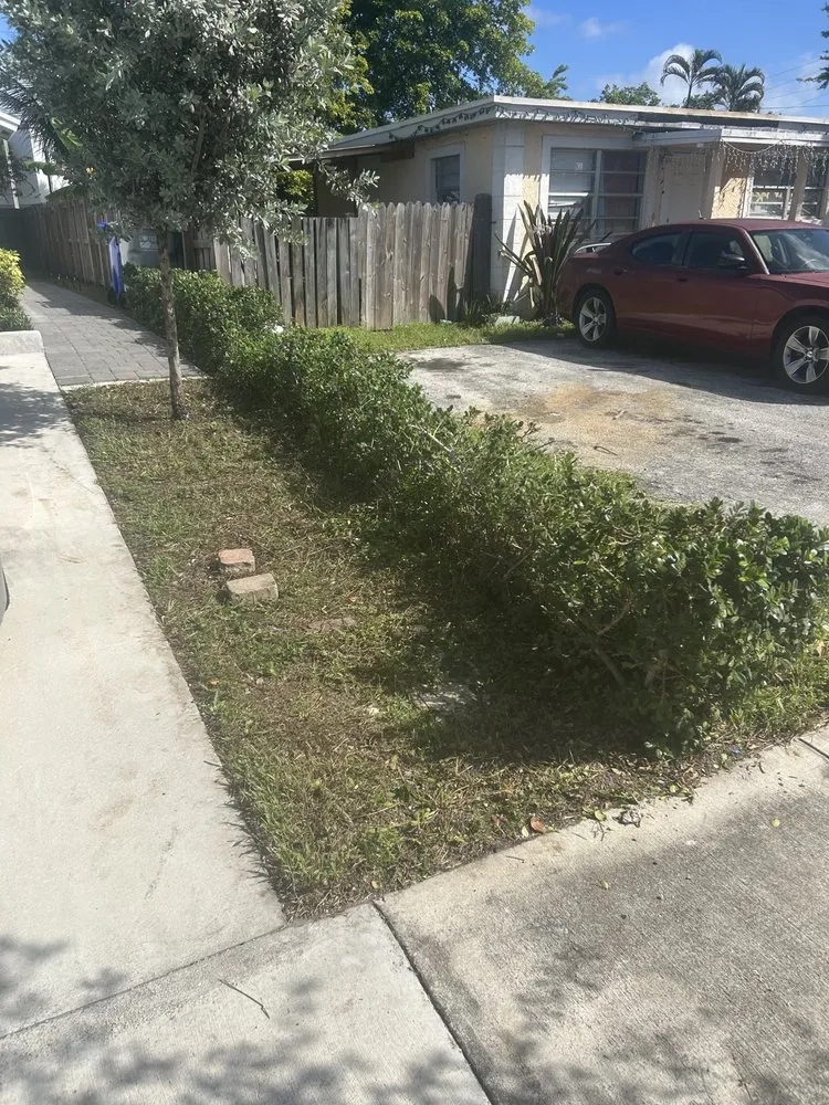 Professional landscape installation for outdoor upgrades in Fort Lauderdale, FL by Magee Lawn and Property Care