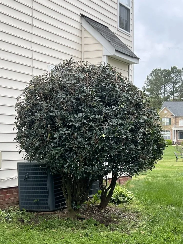 Expert landscaping services for beautiful yards in Mineral, VA by Magel’s Lawn Care & Landscaping