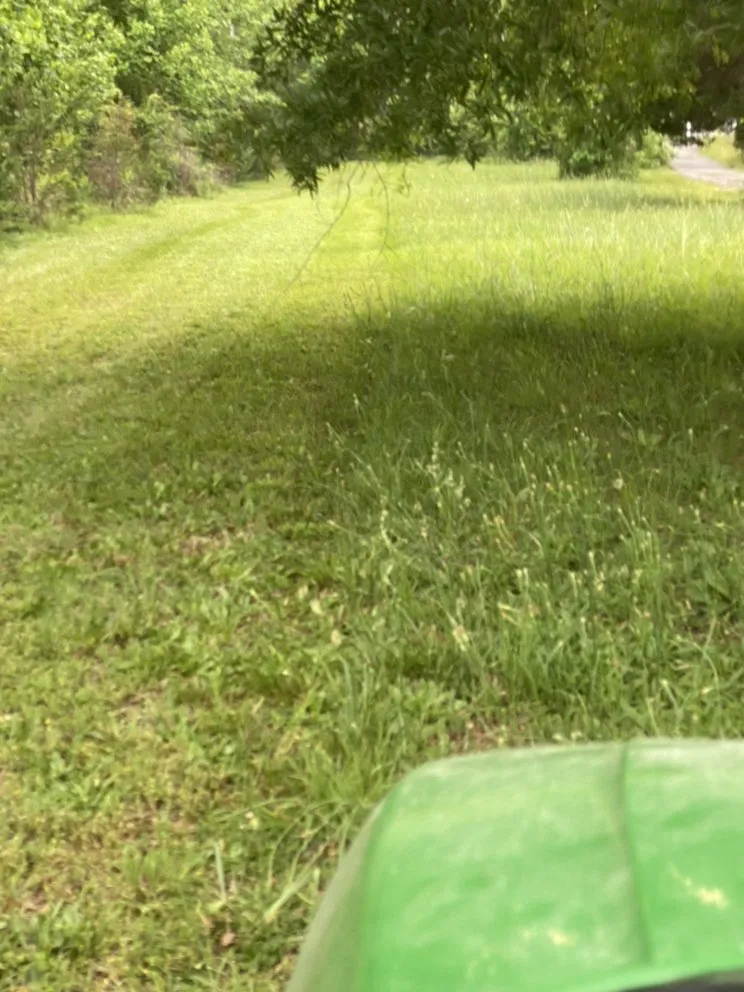 Professional lawn care service in Mineral, VA by Magel’s Lawn Care & Landscaping