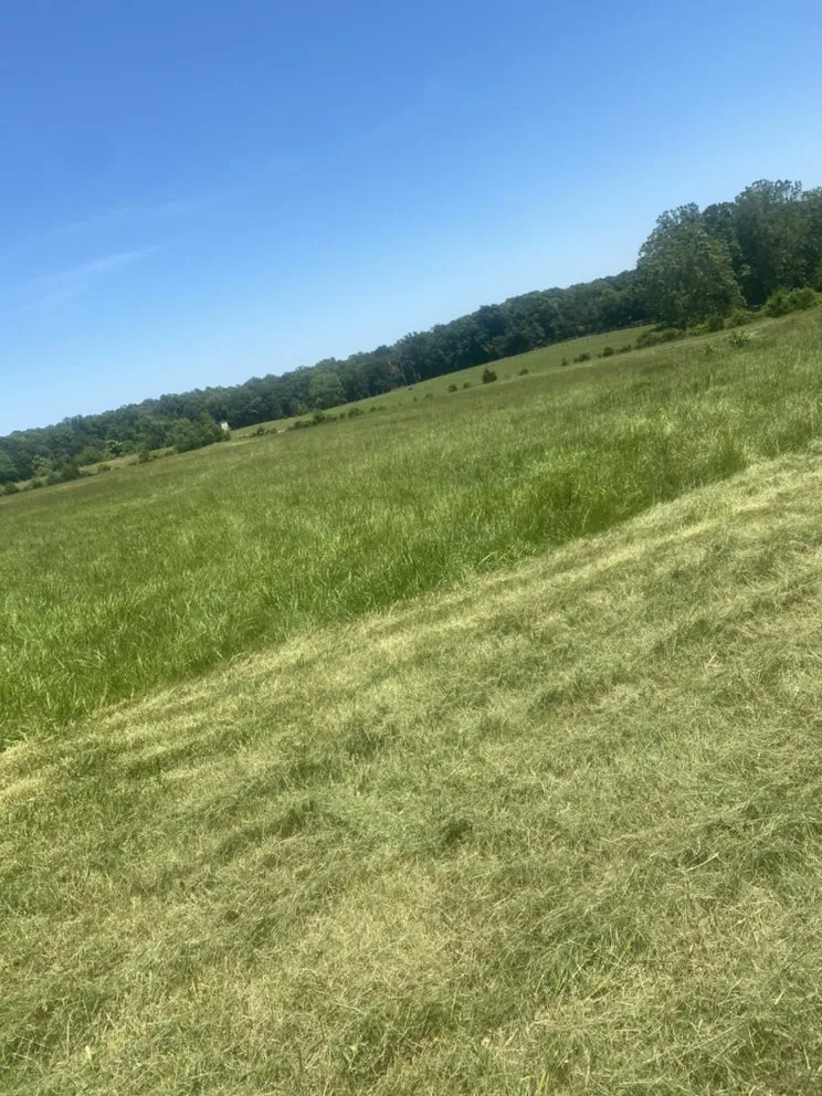 Custom yard maintenance for outdoor upgrades in Mineral, VA by Magel’s Lawn Care & Landscaping