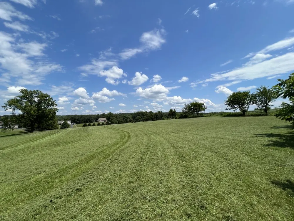 Expert outdoor landscaping near you in Mineral, VA by Magel’s Lawn Care & Landscaping