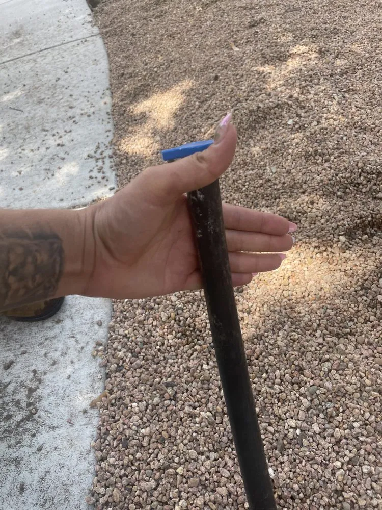 Affordable lawn care service in Boulder, CO - Magic Beans Landscaping